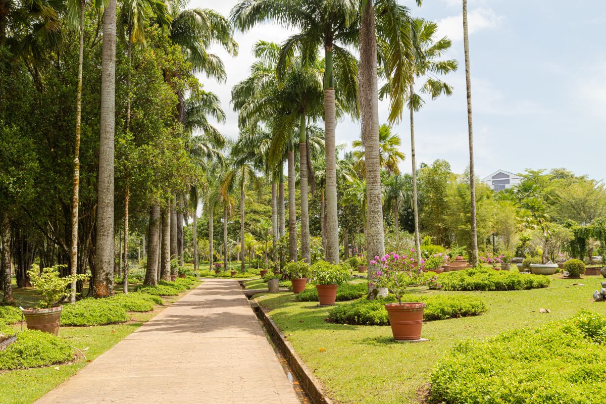 Eastern Region Nature & Cocoa Experience